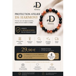 Protection Atelier Premium DS Harmony – 12 mois