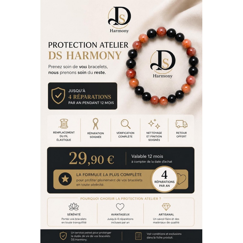 Protection Atelier Premium DS Harmony – 12 mois